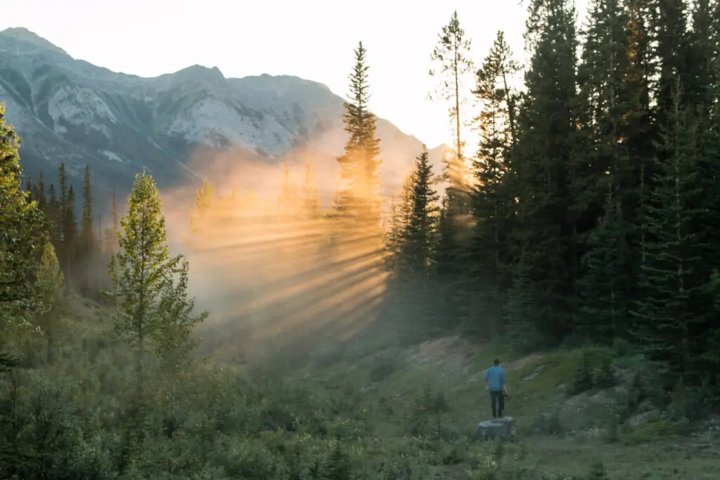 Man in blue shirt standing on rock with sun rays shining through trees