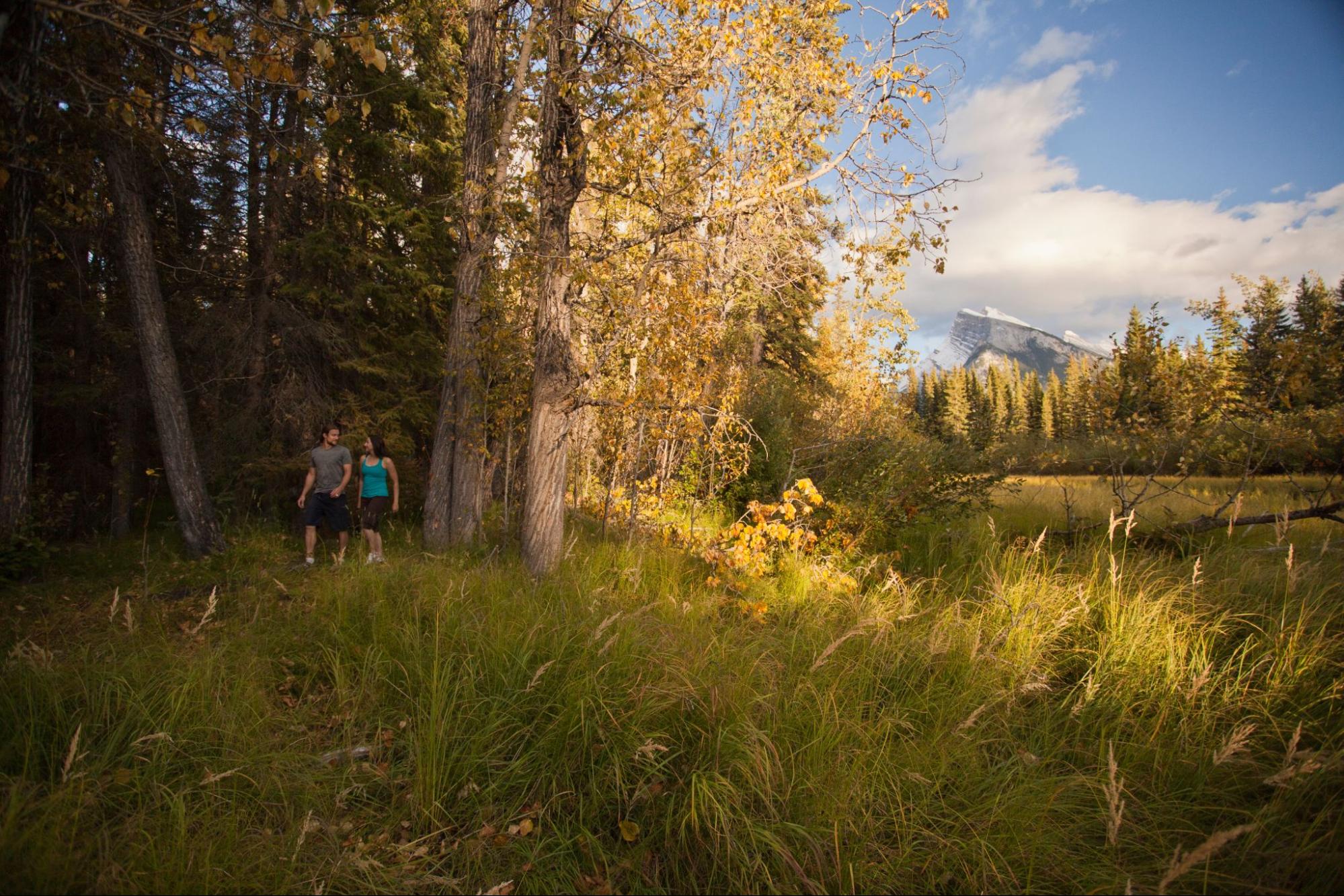 National Park in Alberta